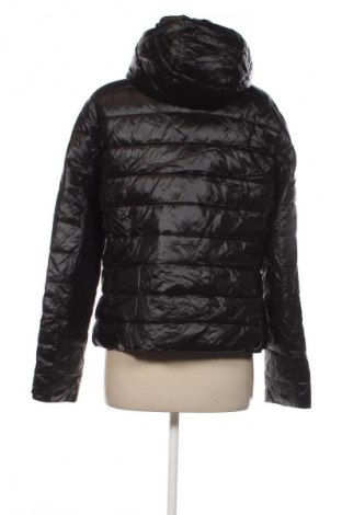 Dámska bunda  Primark, Veľkosť L, Farba Čierna, Cena  14,95 €