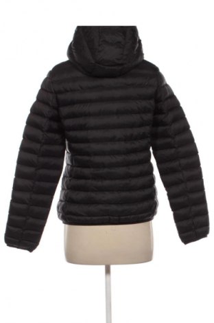 Damenjacke Schott, Größe M, Farbe Schwarz, Preis € 219,99