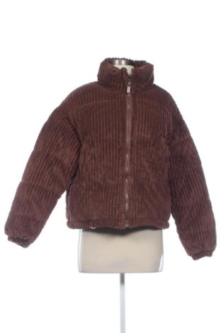 Damenjacke Unbranded, Größe L, Farbe Braun, Preis € 23,99