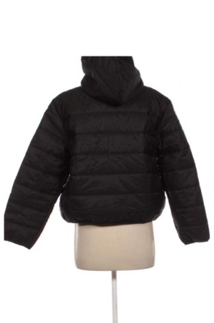 Дамско яке Wild Fable, Размер M, Цвят Черен, Цена 13,29 €