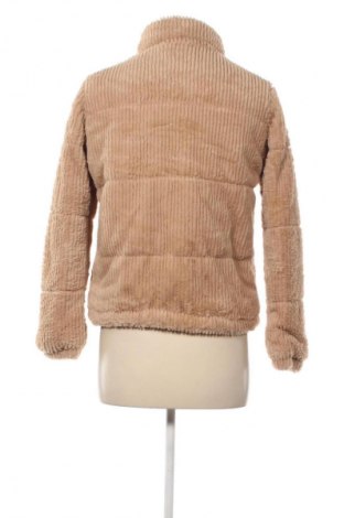 Damenjacke Zeeman, Größe S, Farbe Beige, Preis 29,99 €