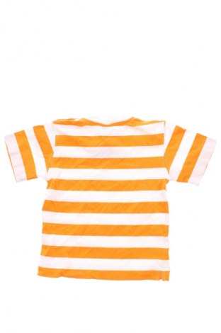 Gyerek blúz Baby Club, Méret 18-24m / 86-98 cm, Szín Sokszínű, Ár 2 346 Ft