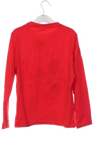 Kinder Shirt Coccodrillo, Größe 8-9y/ 134-140 cm, Farbe Rot, Preis € 6,14