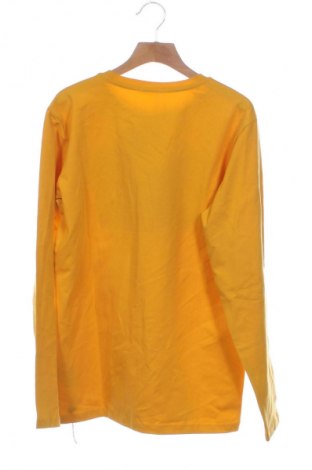 Detská blúzka  Daniele Alessandrini, Veľkosť 13-14y/ 164-168 cm, Farba Oranžová, Cena  50,95 €