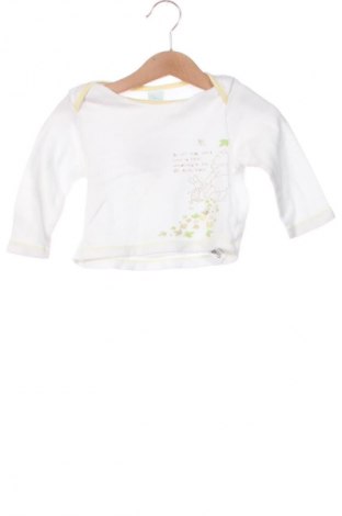 Kinder Shirt Disney, Größe 3-6m/ 62-68 cm, Farbe Mehrfarbig, Preis € 6,14