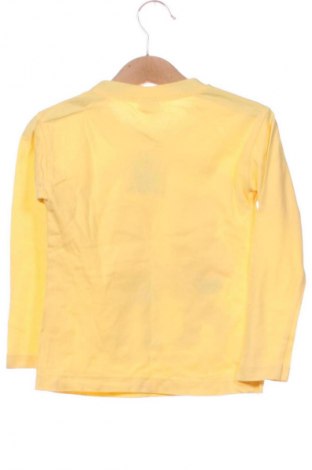 Gyerek blúz Milano, Méret 2-3y / 98-104 cm, Szín Sokszínű, Ár 2 400 Ft
