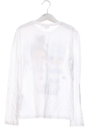 Dziecięca bluzka Terranova, Rozmiar 9-10y/ 140-146 cm, Kolor Kolorowy, Cena 27,59 zł