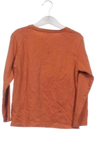 Kinder Shirt Unbranded, Größe 5-6y/ 116-122 cm, Farbe Braun, Preis € 6,14