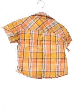 Kinderhemd Bambino Mio, Größe 12-18m/ 80-86 cm, Farbe Mehrfarbig, Preis € 12,00