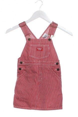 Dziecięca sukienka Oshkosh, Rozmiar 2-3y/ 98-104 cm, Kolor Kolorowy, Cena 35,99 zł