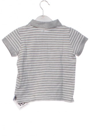 Dziecięcy T-shirt Lupilu, Rozmiar 2-3y/ 98-104 cm, Kolor Kolorowy, Cena 27,24 zł