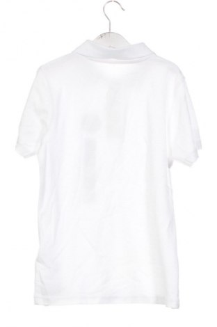 Dziecięcy T-shirt Pepco, Rozmiar 8-9y/ 134-140 cm, Kolor Biały, Cena 23,00 zł