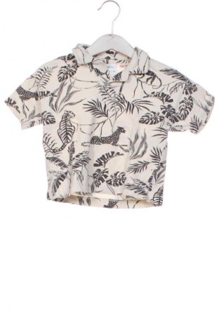Dziecięcy T-shirt Zara, Rozmiar 12-18m/ 80-86 cm, Kolor Kolorowy, Cena 26,97 zł