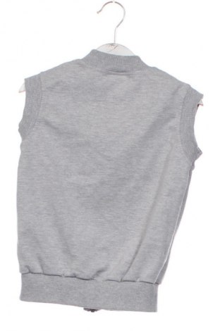 Gyerek mellény Unbranded, Méret 3-4y / 104-110 cm, Szín Szürke, Ár 2 889 Ft