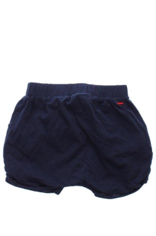 Detské krátke nohavice  Castro, Veľkosť 9-12m/ 74-80 cm, Farba Modrá, Cena  6,37 €