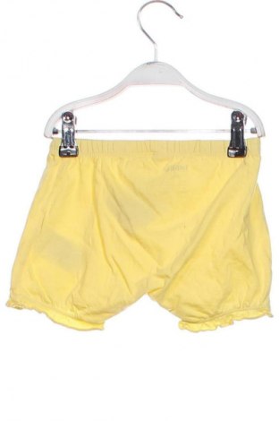 Dziecięce szorty Lupilu, Rozmiar 12-18m/ 80-86 cm, Kolor Żółty, Cena 32,18 zł