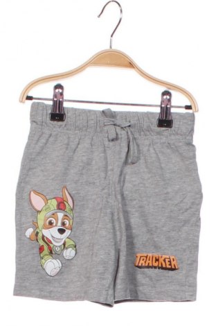 Kinder Shorts Nickelodeon, Größe 4-5y/ 110-116 cm, Farbe Grau, Preis € 7,16