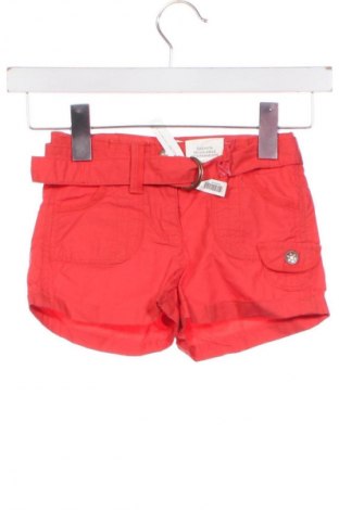 Dziecięce szorty Oviesse, Rozmiar 2-3y/ 98-104 cm, Kolor Czerwony, Cena 52,87 zł