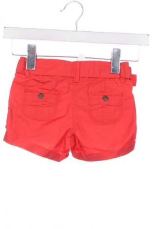 Dziecięce szorty Oviesse, Rozmiar 2-3y/ 98-104 cm, Kolor Czerwony, Cena 52,87 zł