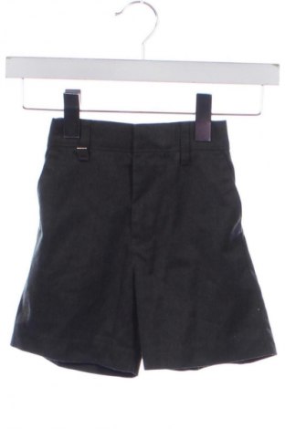 Pantaloni scurți pentru copii Unbranded, Mărime 3-4y/ 104-110 cm, Culoare Maro, Preț 37,00 Lei