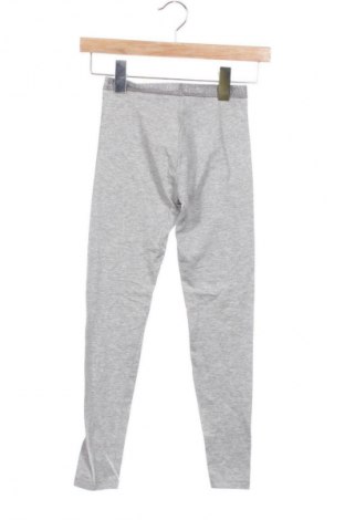 Dziecięce legginsy Pepperts!, Rozmiar 8-9y/ 134-140 cm, Kolor Szary, Cena 32,18 zł