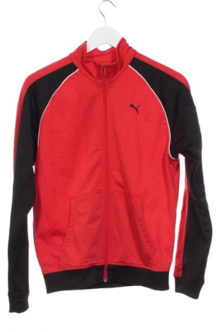 Παιδικό αθλητικό πάνω φόρμα PUMA, Μέγεθος 12-13y/ 158-164 εκ., Χρώμα Κόκκινο, Τιμή 21,99 €