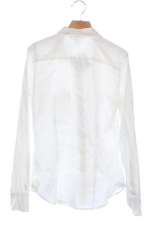 Herrenhemd H&M, Größe S, Farbe Ecru, Preis € 14,17