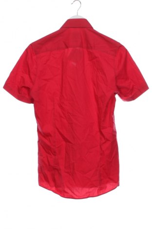 Herrenhemd Olymp, Größe M, Farbe Rot, Preis 16,99 €