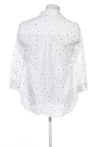 Herrenhemd Pieces, Größe S, Farbe Mehrfarbig, Preis 4,99 €
