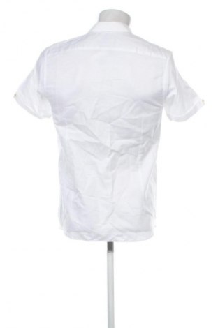 Herrenhemd Ted Baker, Größe M, Farbe Weiß, Preis 20,10 €