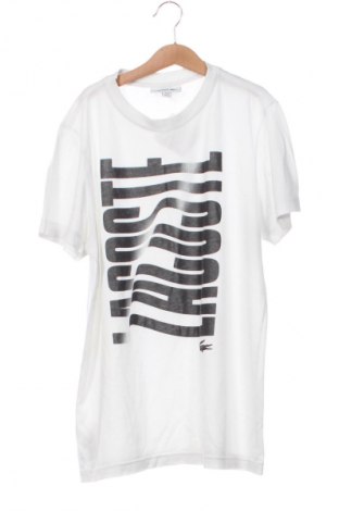 Herren T-Shirt Lacoste, Größe XS, Farbe Weiß, Preis 20,03 €