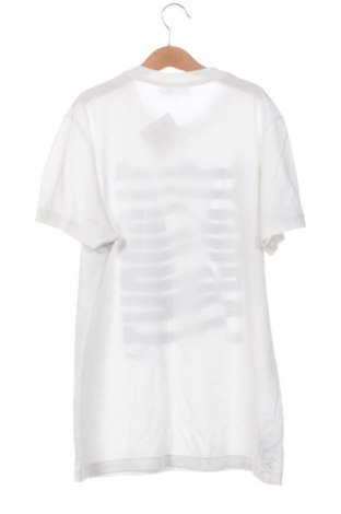 Herren T-Shirt Lacoste, Größe XS, Farbe Weiß, Preis 20,03 €