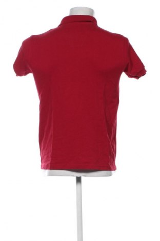 Férfi póló NEW COLLECTION, Méret M, Szín Piros, Ár 3 000 Ft