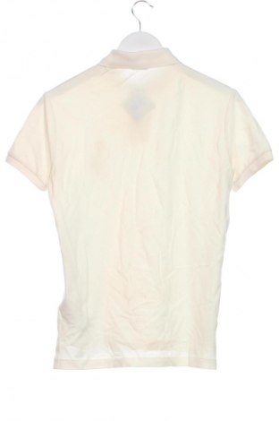 Pánské tričko  Polo Ralph Lauren, Velikost XS, Barva Krémová, Cena  2 299,00 Kč
