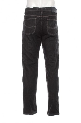Herren Jeans Sansiro, Größe L, Farbe Schwarz, Preis 13,99 €