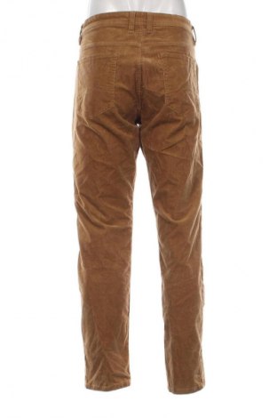 Herren Cordhose Canda, Größe XL, Farbe Braun, Preis € 11,99