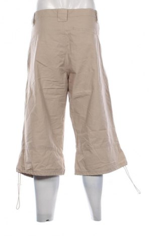 Herrenhose Unbranded, Größe L, Farbe Beige, Preis 20,00 €
