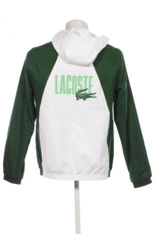 Herrenjacke Lacoste, Größe M, Farbe Mehrfarbig, Preis 139,99 €