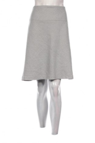 Fustă Designer S, Mărime M, Culoare Gri, Preț 51,45 Lei