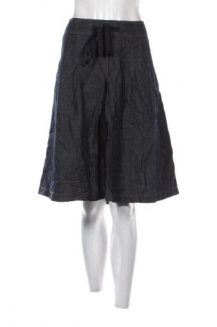 Φούστα Etam, Μέγεθος XL, Χρώμα Μπλέ, Τιμή 9,99 €