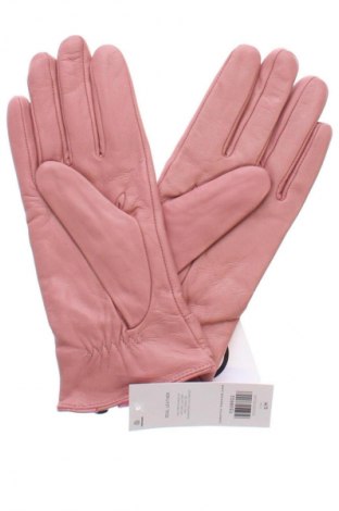 Γάντια Dorothy Perkins, Χρώμα Ρόζ , Τιμή 27,99 €