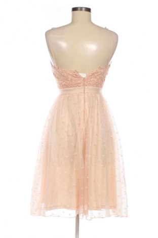 Kleid ASOS, Größe S, Farbe Rosa, Preis 50,62 €