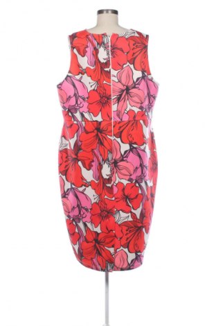 Šaty  ASOS, Veľkosť 3XL, Farba Viacfarebná, Cena  9,95 €