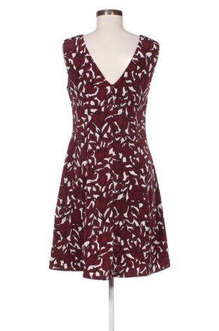 Φόρεμα Dorothy Perkins, Μέγεθος L, Χρώμα Πολύχρωμο, Τιμή 13,80 €