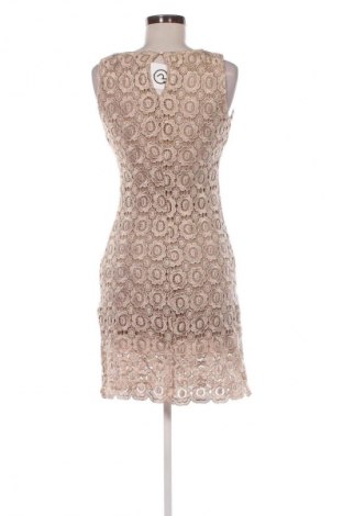 Kleid Joy Miss, Größe S, Farbe Braun, Preis 14,83 €