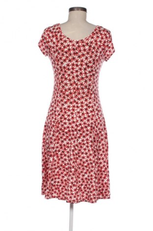 Kleid Ned, Größe S, Farbe Mehrfarbig, Preis 27,80 €