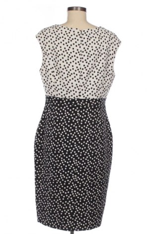Kleid Phase Eight, Größe XL, Farbe Mehrfarbig, Preis 42,05 €
