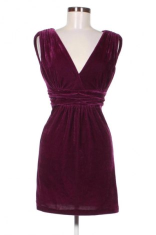 Kleid Pussycat, Größe M, Farbe Lila, Preis 14,77 €