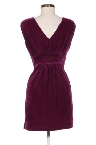 Kleid Pussycat, Größe M, Farbe Lila, Preis 14,77 €