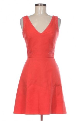 Šaty  Reiss, Veľkosť S, Farba Oranžová, Cena  179,80 €